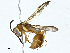  ( - BIOUG97744-F08)  @11 [ ] CreativeCommons - Attribution (2023) CBG Photography Group Centre for Biodiversity Genomics