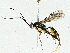  ( - BIOUG97744-G01)  @11 [ ] CreativeCommons - Attribution (2023) CBG Photography Group Centre for Biodiversity Genomics