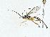  ( - BIOUG97744-G02)  @11 [ ] CreativeCommons - Attribution (2023) CBG Photography Group Centre for Biodiversity Genomics