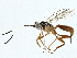  ( - BIOUG97744-G07)  @11 [ ] CreativeCommons - Attribution (2023) CBG Photography Group Centre for Biodiversity Genomics