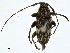  ( - CBG-A00286-E06)  @11 [ ] CreativeCommons - Attribution (2023) CBG Photography Group Centre for Biodiversity Genomics