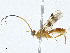  ( - CBG-A00288-C09)  @11 [ ] CreativeCommons - Attribution (2023) CBG Photography Group Centre for Biodiversity Genomics