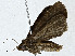  ( - CBG-A00288-D12)  @11 [ ] CreativeCommons - Attribution (2023) CBG Photography Group Centre for Biodiversity Genomics