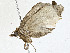  ( - CBG-A00288-E03)  @11 [ ] CreativeCommons - Attribution (2023) CBG Photography Group Centre for Biodiversity Genomics