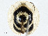  ( - CBG-A00288-F07)  @11 [ ] CreativeCommons - Attribution (2023) CBG Photography Group Centre for Biodiversity Genomics