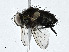  ( - CBG-A00289-D11)  @11 [ ] CreativeCommons - Attribution (2023) CBG Photography Group Centre for Biodiversity Genomics