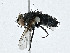  ( - CBG-A00289-G11)  @11 [ ] CreativeCommons - Attribution (2023) CBG Photography Group Centre for Biodiversity Genomics