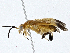  ( - CBG-A00354-A09)  @11 [ ] CreativeCommons - Attribution (2023) CBG Photography Group Centre for Biodiversity Genomics