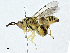  ( - CBG-A00354-E12)  @11 [ ] CreativeCommons - Attribution (2023) CBG Photography Group Centre for Biodiversity Genomics