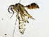  ( - CBG-A00354-G01)  @11 [ ] CreativeCommons - Attribution (2023) CBG Photography Group Centre for Biodiversity Genomics
