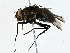  ( - CBG-A00355-B02)  @11 [ ] CreativeCommons - Attribution (2023) CBG Photography Group Centre for Biodiversity Genomics