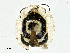  ( - CBG-A00355-E01)  @11 [ ] CreativeCommons - Attribution (2023) CBG Photography Group Centre for Biodiversity Genomics