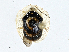  ( - CBG-A00355-E04)  @11 [ ] CreativeCommons - Attribution (2023) CBG Photography Group Centre for Biodiversity Genomics