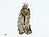  ( - CBG-A00355-H05)  @11 [ ] CreativeCommons - Attribution (2023) CBG Photography Group Centre for Biodiversity Genomics