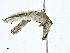  ( - CBG-A00355-H08)  @11 [ ] CreativeCommons - Attribution (2023) CBG Photography Group Centre for Biodiversity Genomics