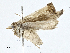  ( - CBG-A00356-E05)  @11 [ ] CreativeCommons - Attribution (2023) CBG Photography Group Centre for Biodiversity Genomics