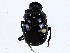  ( - CBG-A00357-B05)  @11 [ ] CreativeCommons - Attribution (2023) CBG Photography Group Centre for Biodiversity Genomics