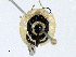  ( - CBG-A00357-B12)  @11 [ ] CreativeCommons - Attribution (2023) CBG Photography Group Centre for Biodiversity Genomics