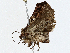  ( - CBG-A00357-E01)  @11 [ ] CreativeCommons - Attribution (2023) CBG Photography Group Centre for Biodiversity Genomics
