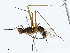  ( - CBG-A00358-D07)  @11 [ ] CreativeCommons - Attribution (2023) CBG Photography Group Centre for Biodiversity Genomics