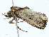  ( - CBG-A00358-H11)  @11 [ ] CreativeCommons - Attribution (2023) CBG Photography Group Centre for Biodiversity Genomics