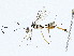  ( - CBG-A00359-B09)  @11 [ ] CreativeCommons - Attribution (2023) CBG Photography Group Centre for Biodiversity Genomics