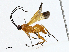  ( - CBG-A00359-C01)  @11 [ ] CreativeCommons - Attribution (2023) CBG Photography Group Centre for Biodiversity Genomics
