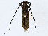  ( - CBG-A00359-C11)  @11 [ ] CreativeCommons - Attribution (2023) CBG Photography Group Centre for Biodiversity Genomics