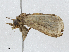  ( - CBG-A00360-A10)  @11 [ ] CreativeCommons - Attribution (2023) CBG Photography Group Centre for Biodiversity Genomics