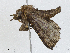  ( - CBG-A00360-B06)  @11 [ ] CreativeCommons - Attribution (2023) CBG Photography Group Centre for Biodiversity Genomics