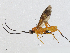  ( - CBG-A00361-B04)  @11 [ ] CreativeCommons - Attribution (2023) CBG Photography Group Centre for Biodiversity Genomics