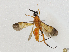  ( - CBG-A00361-C02)  @11 [ ] CreativeCommons - Attribution (2023) CBG Photography Group Centre for Biodiversity Genomics
