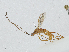  ( - CBG-A00361-C12)  @11 [ ] CreativeCommons - Attribution (2023) CBG Photography Group Centre for Biodiversity Genomics