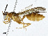  ( - CBG-A01230-F06)  @11 [ ] CreativeCommons - Attribution (2023) CBG Photography Group Centre for Biodiversity Genomics