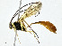  ( - CBG-A01230-H06)  @11 [ ] CreativeCommons - Attribution (2023) CBG Photography Group Centre for Biodiversity Genomics
