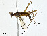  ( - CBG-A01231-A01)  @11 [ ] CreativeCommons - Attribution (2023) CBG Photography Group Centre for Biodiversity Genomics