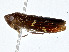  ( - CBG-A01231-B04)  @11 [ ] CreativeCommons - Attribution (2023) CBG Photography Group Centre for Biodiversity Genomics