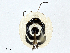  ( - CBG-A01232-D10)  @11 [ ] CreativeCommons - Attribution (2023) CBG Photography Group Centre for Biodiversity Genomics
