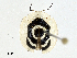  ( - CBG-A01232-E01)  @11 [ ] CreativeCommons - Attribution (2023) CBG Photography Group Centre for Biodiversity Genomics