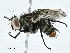  ( - CBG-A01232-G12)  @11 [ ] CreativeCommons - Attribution (2023) CBG Photography Group Centre for Biodiversity Genomics