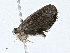  ( - CBG-A01233-A10)  @11 [ ] CreativeCommons - Attribution (2023) CBG Photography Group Centre for Biodiversity Genomics
