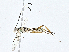  ( - CBG-A01233-C07)  @11 [ ] CreativeCommons - Attribution (2023) CBG Photography Group Centre for Biodiversity Genomics