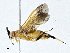  ( - CBG-A01233-C11)  @11 [ ] CreativeCommons - Attribution (2023) CBG Photography Group Centre for Biodiversity Genomics
