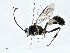  ( - CBG-A01233-D12)  @11 [ ] CreativeCommons - Attribution (2023) CBG Photography Group Centre for Biodiversity Genomics