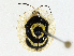  ( - CBG-A01237-F01)  @11 [ ] CreativeCommons - Attribution (2023) CBG Photography Group Centre for Biodiversity Genomics