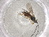  ( - CBG-A01395-H10)  @11 [ ] CreativeCommons - Attribution (2023) Centre for Biodiversity Genomics Centre for Biodiversity Genomics