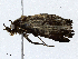  ( - CBG-A02903-A12)  @11 [ ] CreativeCommons - Attribution (2023) CBG Photography Group Centre for Biodiversity Genomics