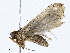  (Salia Malaise4739 - CBG-A02903-B08)  @11 [ ] CreativeCommons - Attribution (2023) CBG Photography Group Centre for Biodiversity Genomics