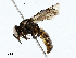  ( - CBG-A02903-H05)  @11 [ ] CreativeCommons - Attribution (2023) CBG Photography Group Centre for Biodiversity Genomics