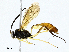  ( - CBG-A02903-H06)  @11 [ ] CreativeCommons - Attribution (2023) CBG Photography Group Centre for Biodiversity Genomics